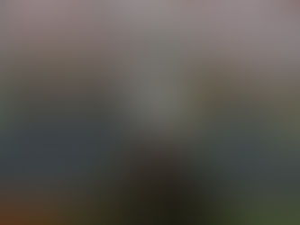 Copa Libertadores 2026 começa com seis brasileiros na disputa