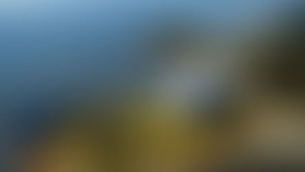 Governo formaliza edital para contratar sistema de controle de acesso à Ilha do Mel