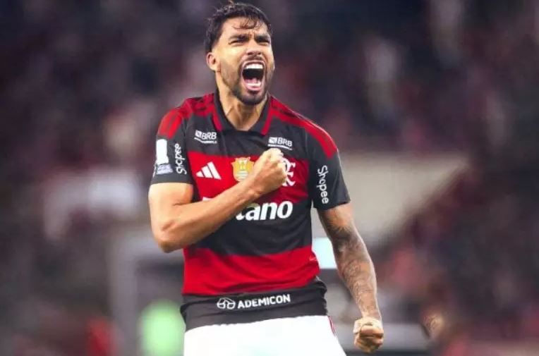 Divulgação