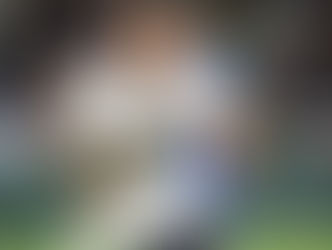 Coritiba inicia intercâmbio com o Independiente del Valle ao enviar trio da base