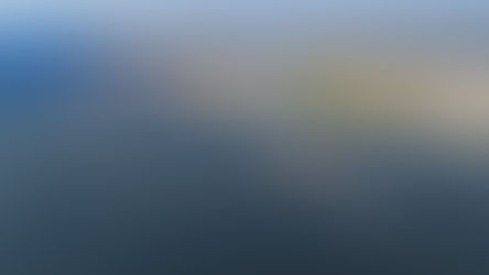 Paranaguá faz 70% das exportações de óleo de soja do país no trimestre