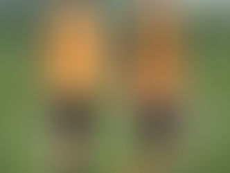 Coritiba encara o Vasco da Gama no Rio