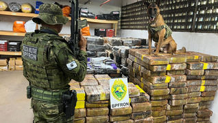 PM apreende 1,5 tonelada de maconha escondida em área de mata em Santa Helena