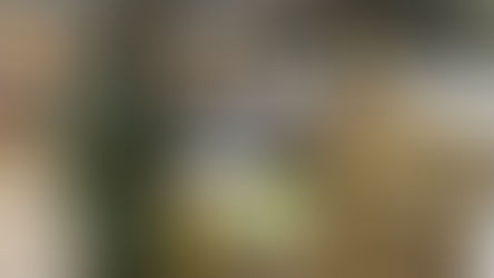 PM apreende 1,5 tonelada de maconha escondida em área de mata em Santa Helena