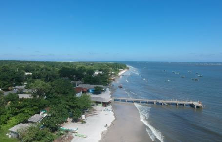 Reprodução