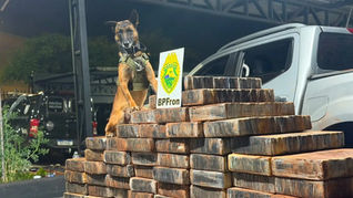PM apreende mais de 3 ton de drogas, com prejuízo de R$ 7 milhões ao crime