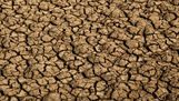 Desertificação no Brasil ameaça segurança hídrica e alimentar