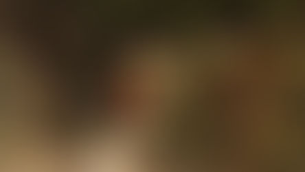 Temporal com ventos de 72 km/h derruba 21 árvores em Curitiba