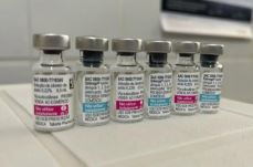 Brasil ganha 1ª vacina de dose única contra a dengue