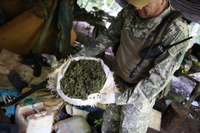 PF destrói US$ 40 milhões em maconha no Paraguai