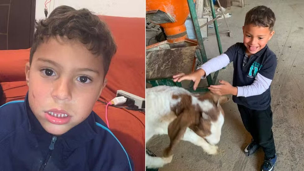 Reprodução