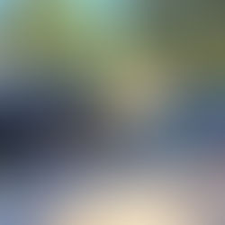 Paraná é o estado que mais apreende drogas no Brasil