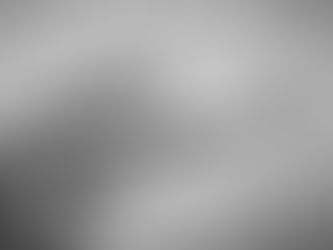 Låt oss begrava begreppet "reptilhjärnan" en gång för alla!