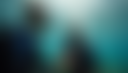 Breaking Down Scuba Certification Cost Details