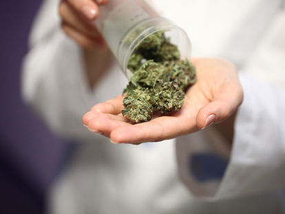 Buy medical cannabis / weed in New South Wales, Australia. Find medical cannabis / Weed in New South Wales: