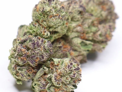 Buy medical cannabis / marijuana Online Watsons Bay, New South Wales, Australia