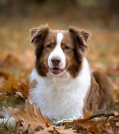 PHOTO-2025-01-14-10-19-54 (9).jpg