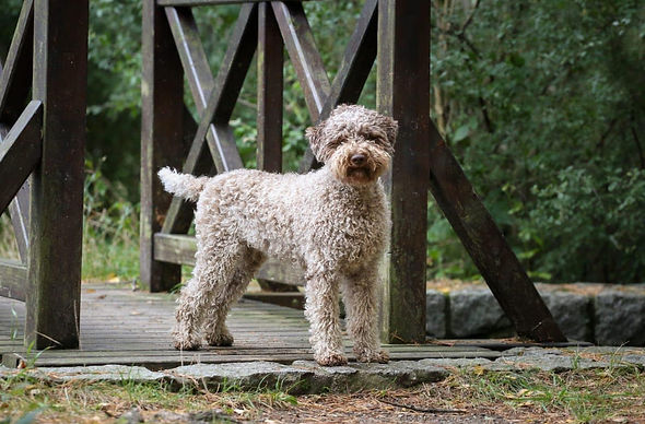 PHOTO-2025-01-14-10-19-54 (35).jpg