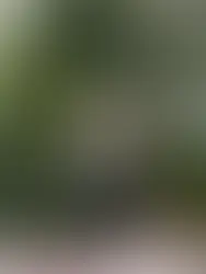 66 and Stronger than Ever