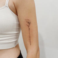 Fine Line Tattoo by Lovely Canvas Victoria BC Vancouver IslandFullSizeRender.jpeg