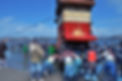 DSC_2053-1.jpg