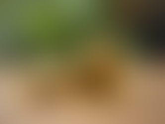 How to Use a Gold Valuation Tool to Get the Best Price