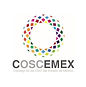 15. COSCEMEX.jpeg