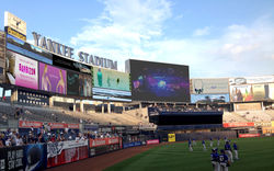 Forensic Self Portrait copy.jpg