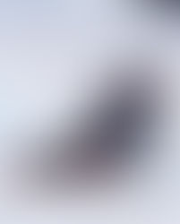 Down the Plastics Rabbit Hole