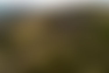 Stepping out of the city and onto the trails