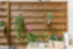 FLOWER 16