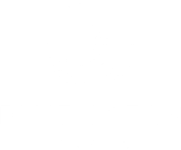 BlueOceanBarns_Logo_White_Final_Large.png