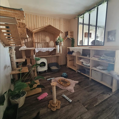 WhatsApp Image 2026-03-23 at 16.07.34 (2).jpeg