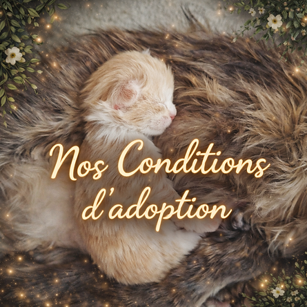 ChatGPT Image 30 mars 2026, 19_44_04.png