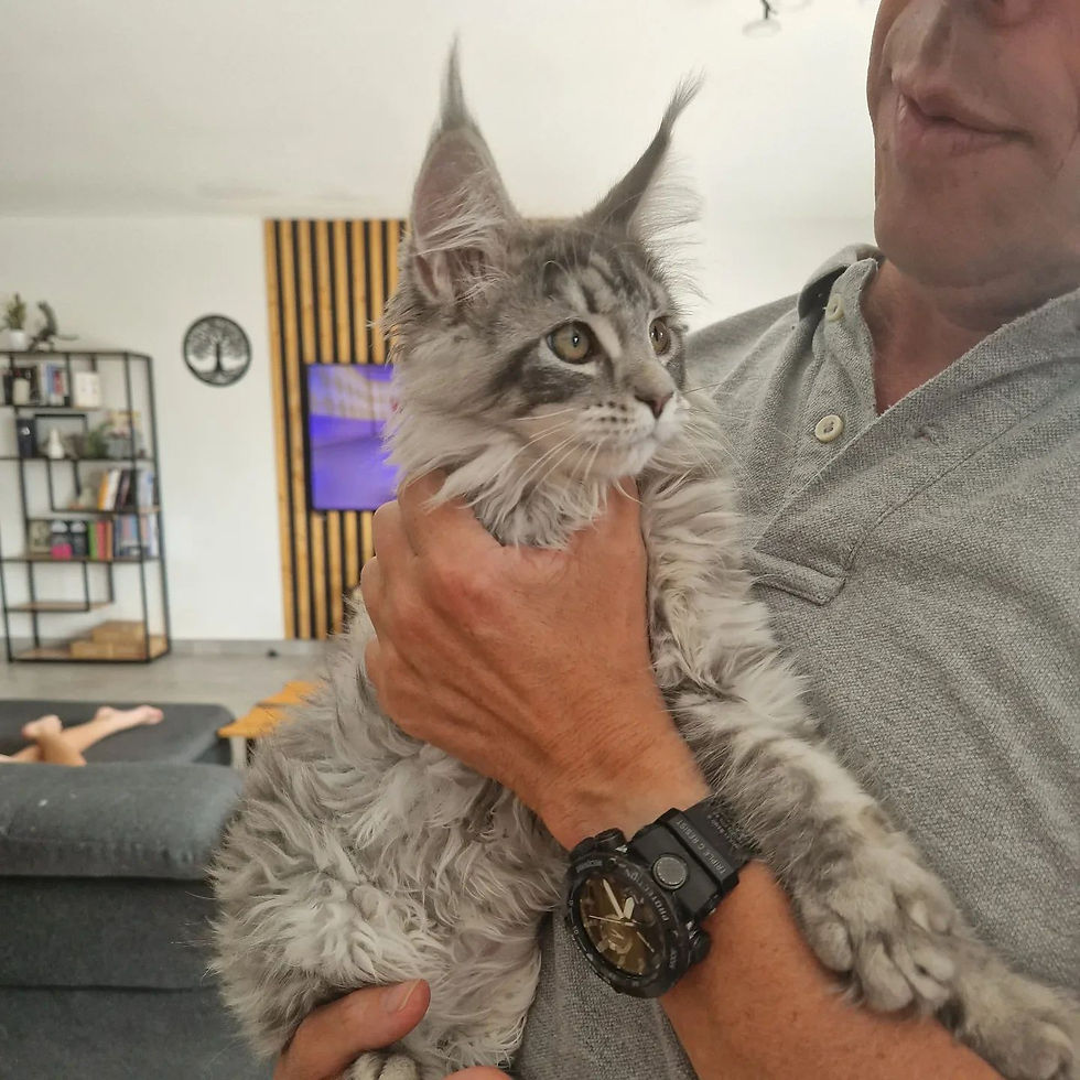 Valkyrie a trouvée sa famille