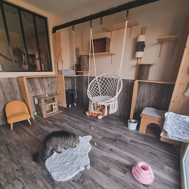 WhatsApp Image 2026-03-23 at 16.07.34 (4).jpeg