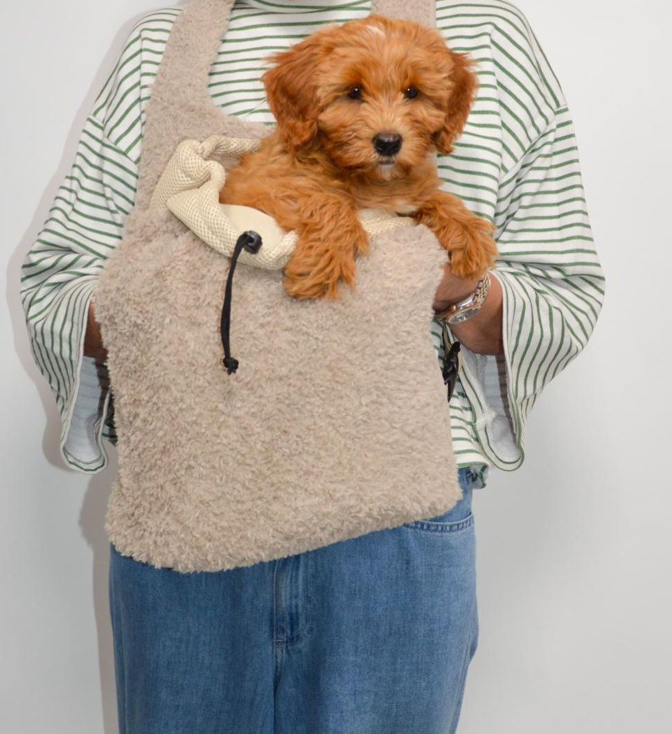 Thumbnail: Buikdrager plush