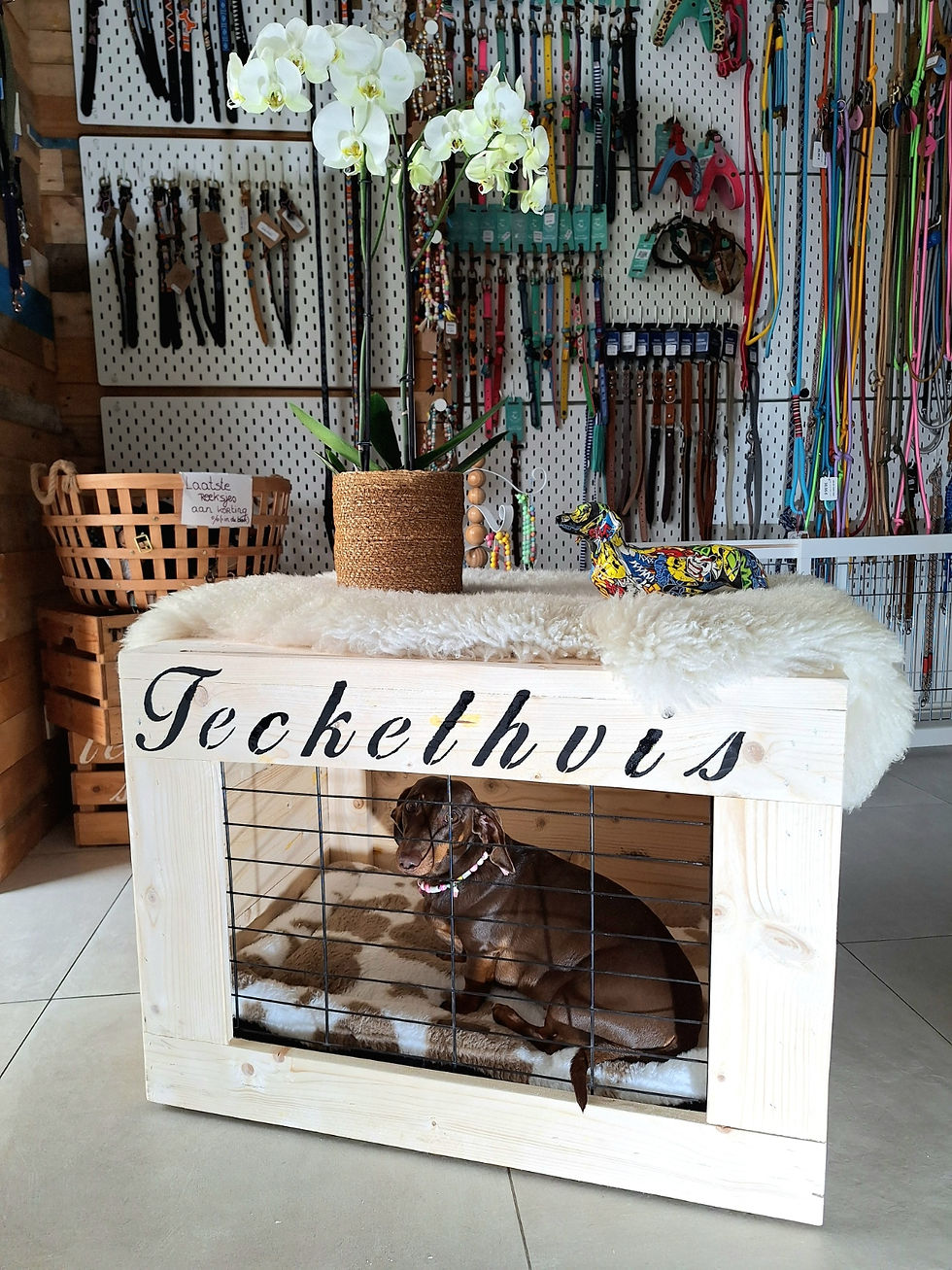 Thumbnail: Teckelhuis met schuifdeur