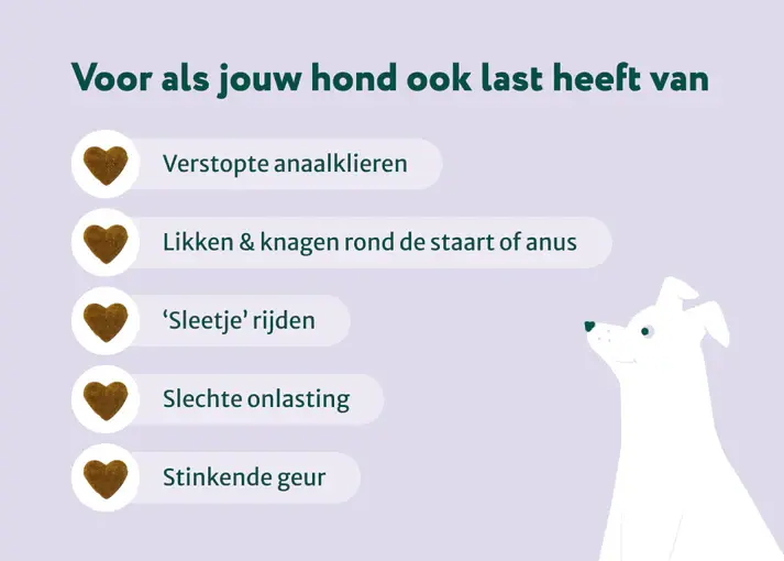 Thumbnail: Anti-Anaalklieren Probiotica Forte