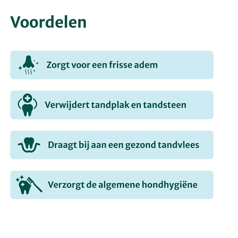 Thumbnail: Dental bright