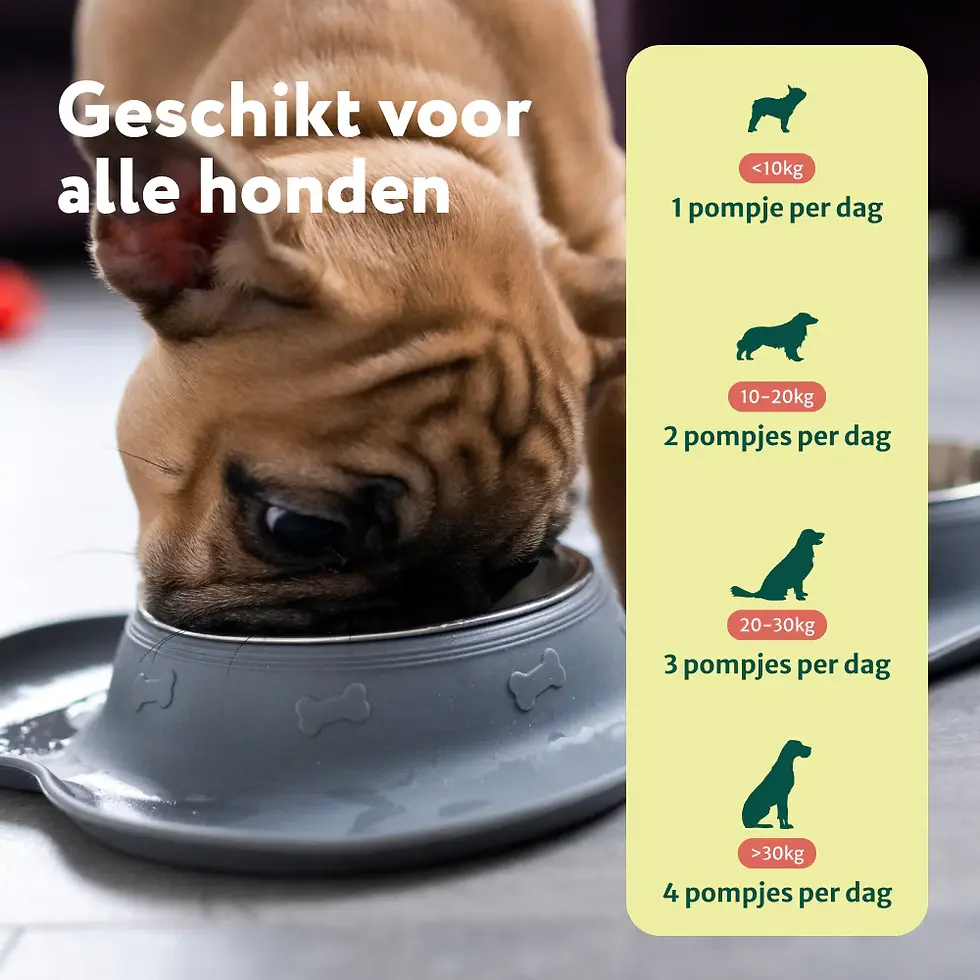 Thumbnail: Hennepzaadolie