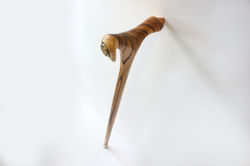 Walking stick