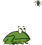 grenouille13 - Copie.gif