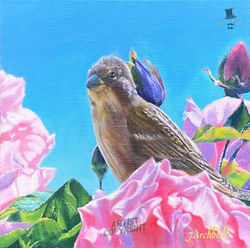 Sparrow In Roses