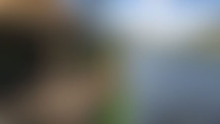 And a River Runs Through It