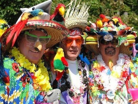 Parrot Heads