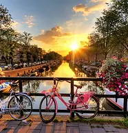 iStock-516019979.jpg.jpg
