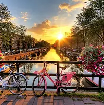 iStock-516019979.jpg.jpg