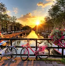 iStock-516019979.jpg.jpg