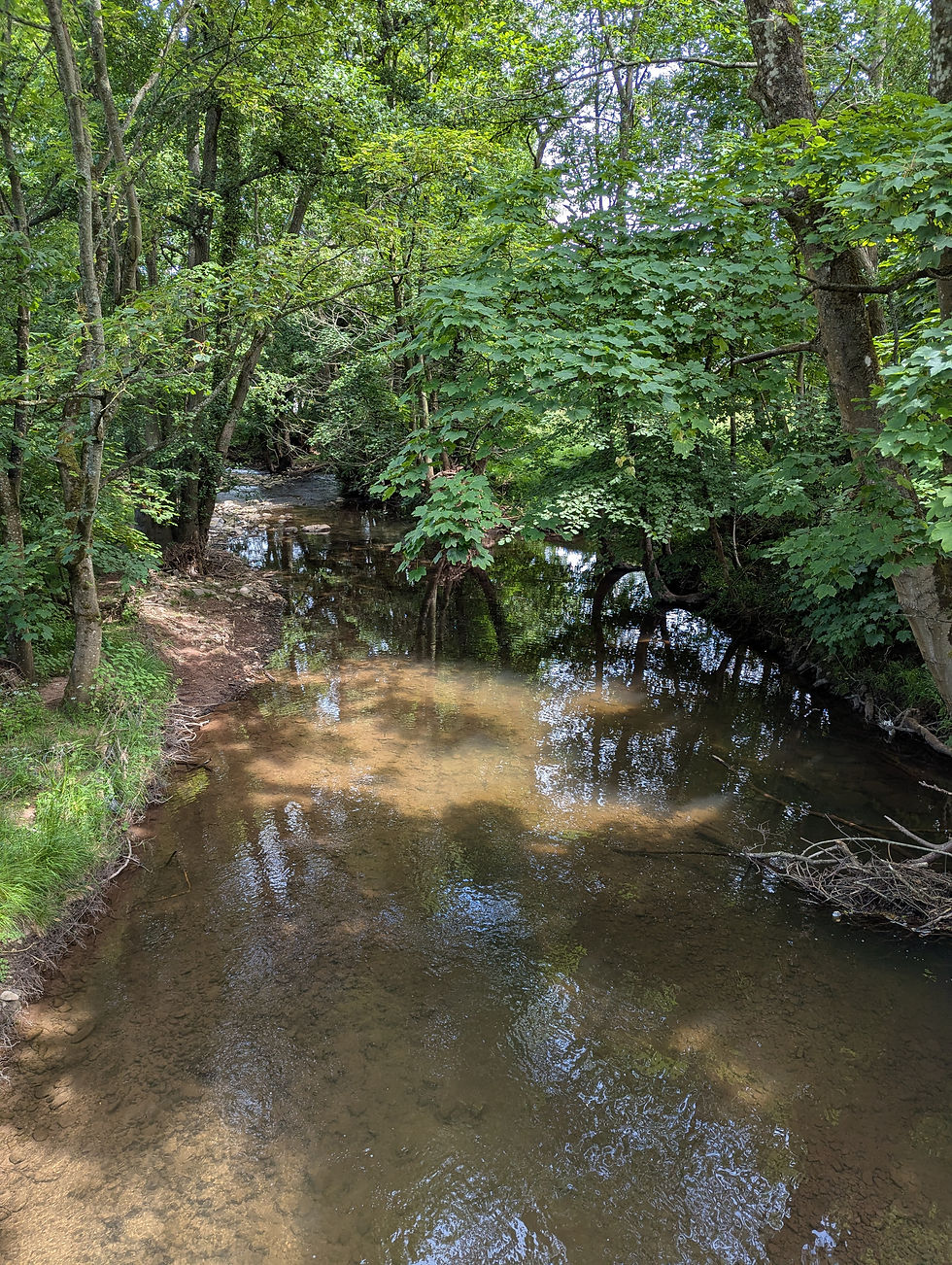 PXL_20260621_111727845.MP